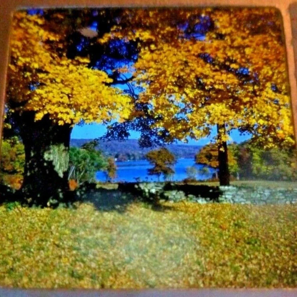 Vintage Stereo Slide Big Yellow Oak NY Storage Reservoir Landscape 3D View